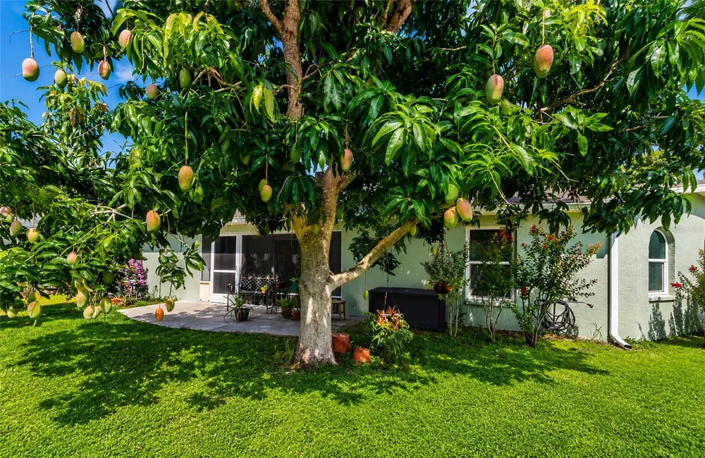2405 ICECAPADE DRIVE Sarasota, FL 34240