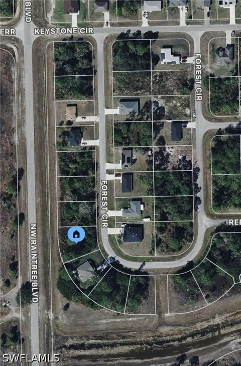 Forest Circle