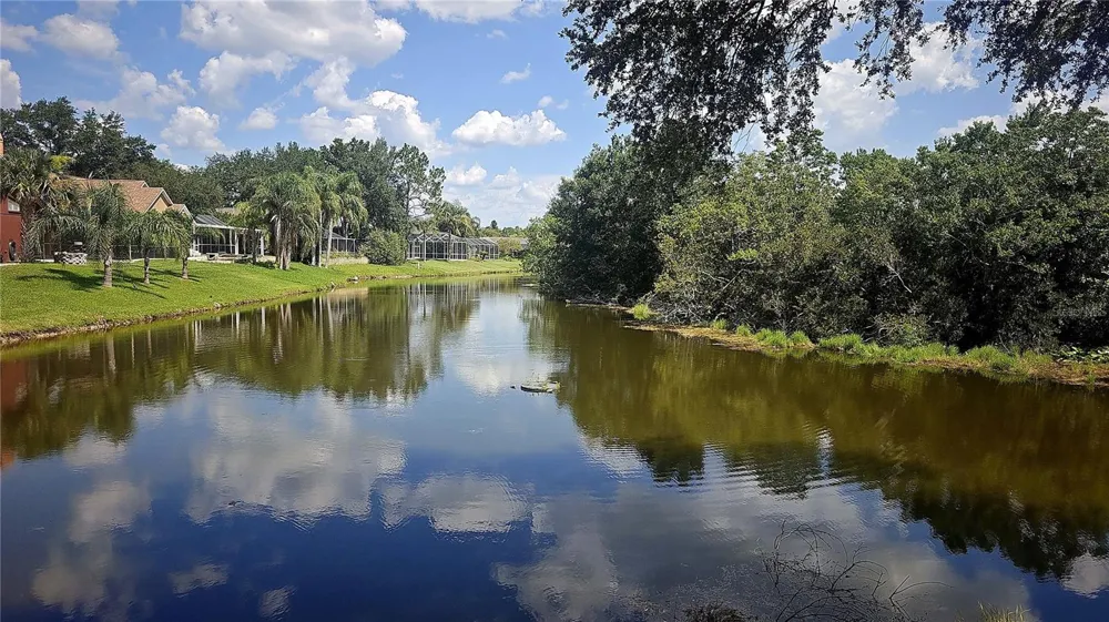 34826 CHELMSFORD LANE Zephyrhills, FL 33541