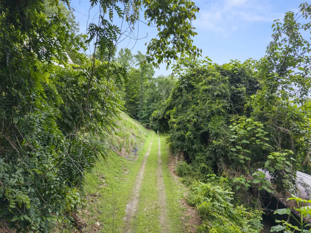 250 Owl Trce Smithville, TN 37166
