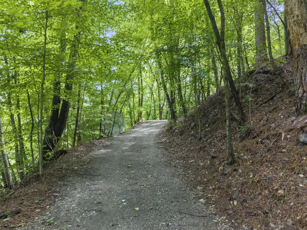 250 Owl Trce Smithville, TN 37166