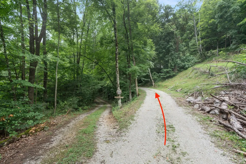 250 Owl Trce Smithville, TN 37166