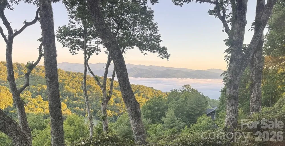 298 Tinequa Drive Brevard, NC 28712