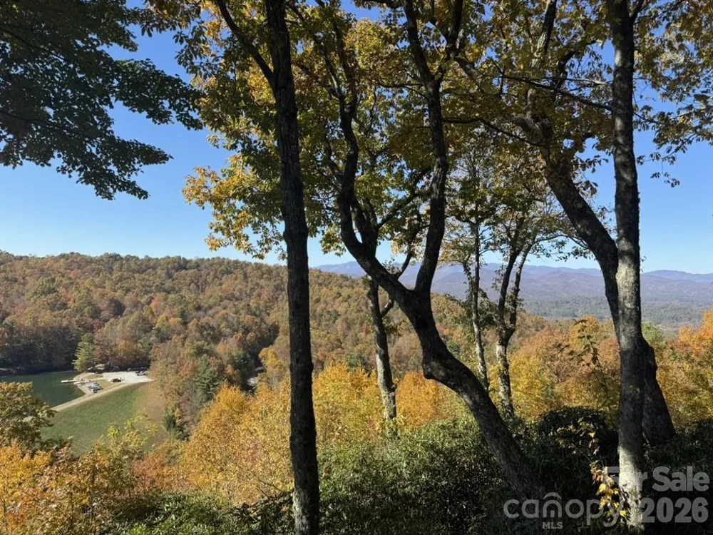 298 Tinequa Drive Brevard, NC 28712