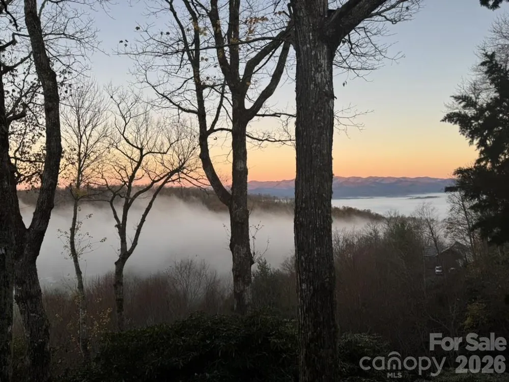 298 Tinequa Drive Brevard, NC 28712