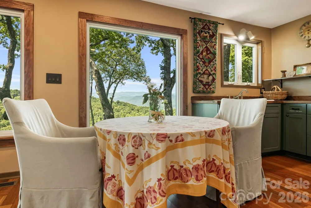 298 Tinequa Drive Brevard, NC 28712