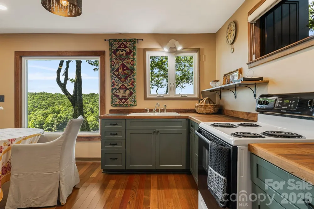 298 Tinequa Drive Brevard, NC 28712