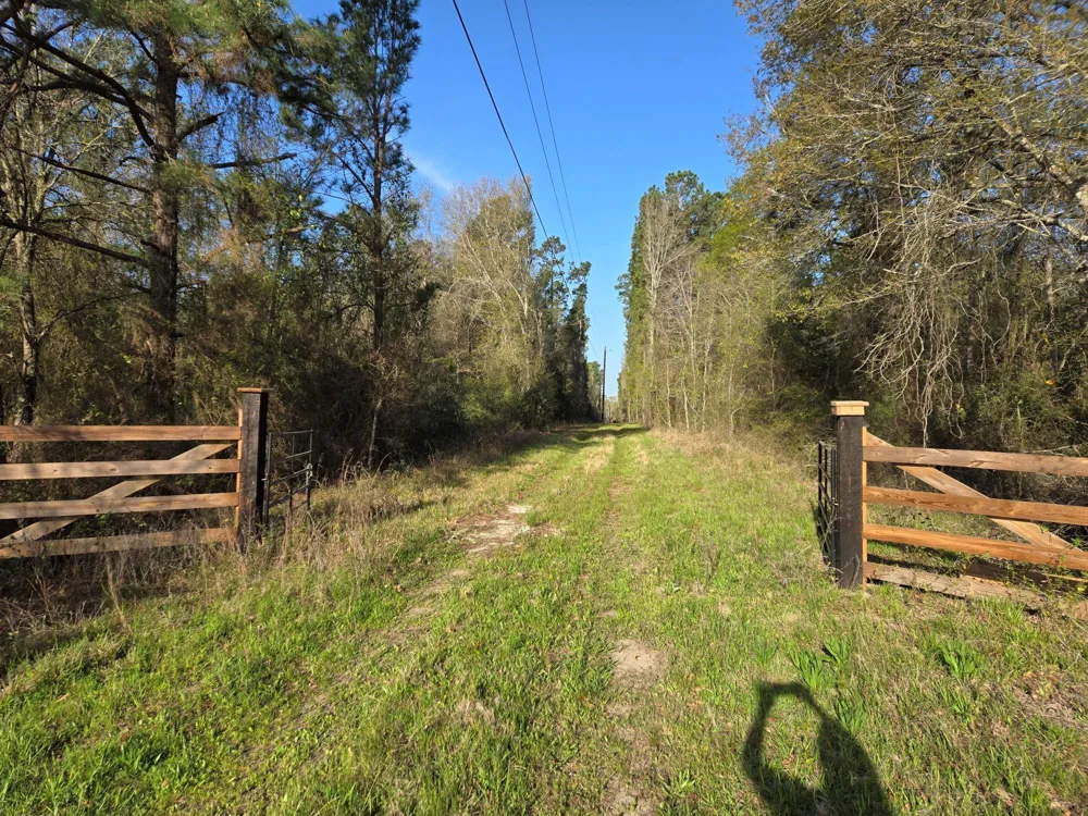 12 Mills Lane Richards, TX 77873