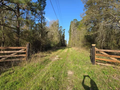 12 Mills Lane