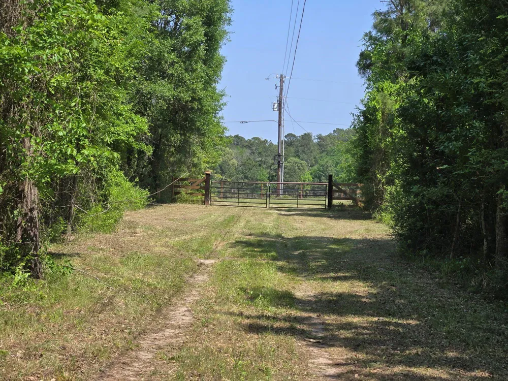 12 Mills Lane Richards, TX 77873