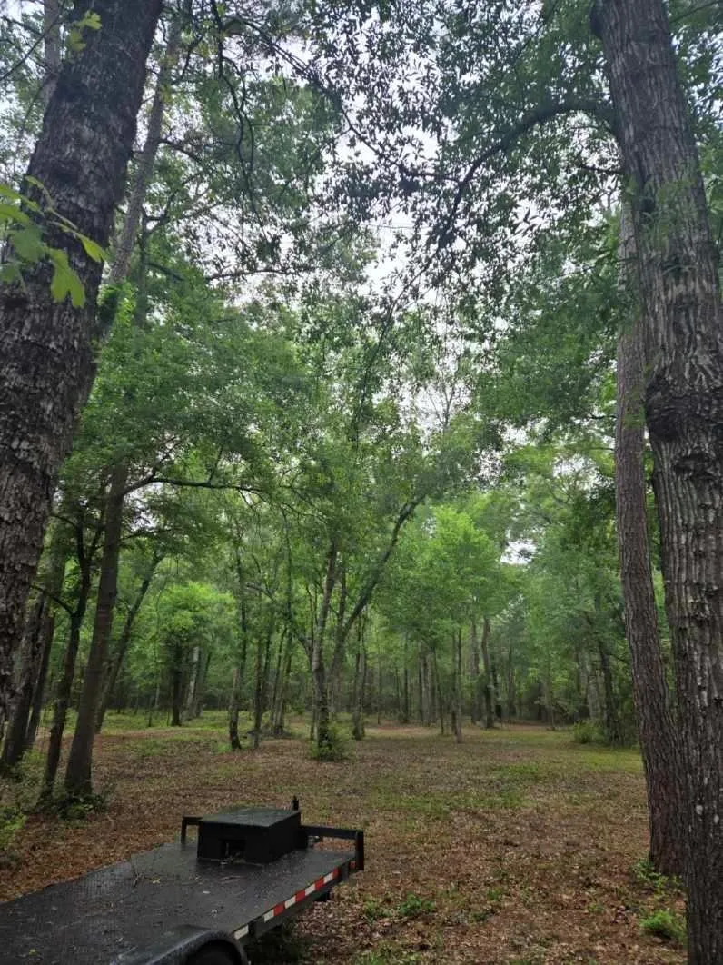 12 Mills Lane Richards, TX 77873