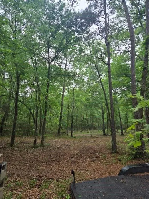 12 Mills Lane Richards, TX 77873