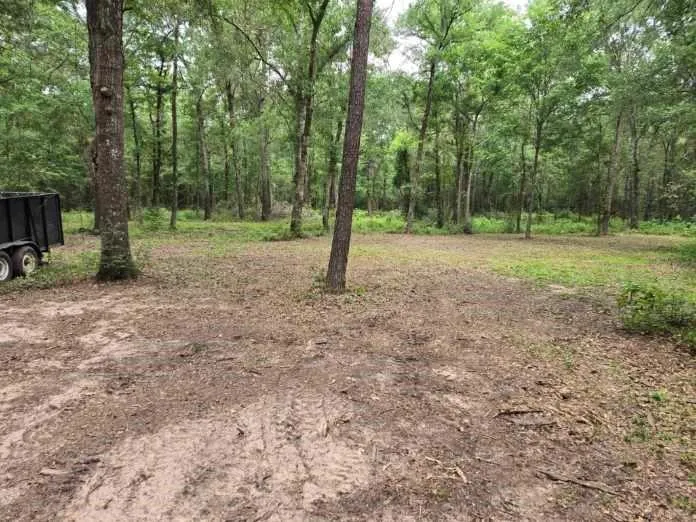 12 Mills Lane Richards, TX 77873