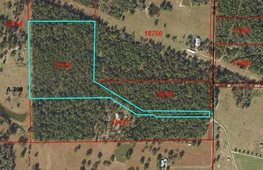 12 Mills Lane Richards, TX 77873