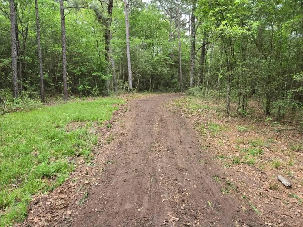 12 Mills Lane Richards, TX 77873