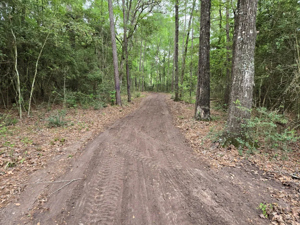 12 Mills Lane Richards, TX 77873