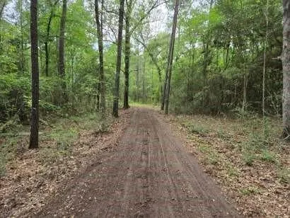 12 Mills Lane Richards, TX 77873