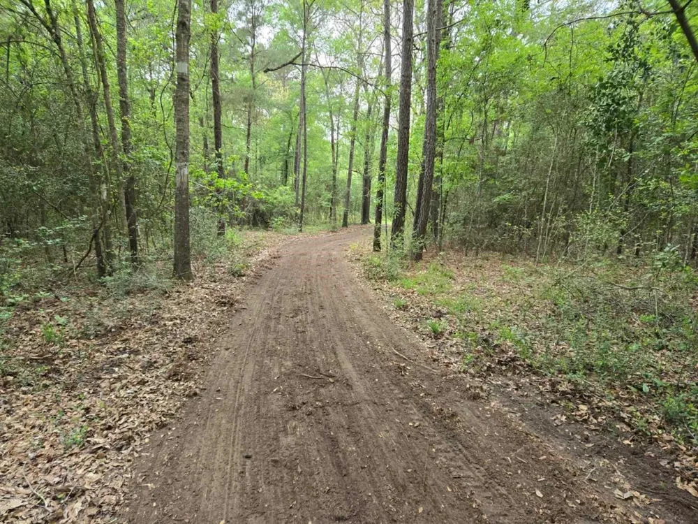 12 Mills Lane Richards, TX 77873