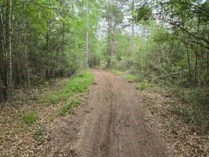 12 Mills Lane Richards, TX 77873