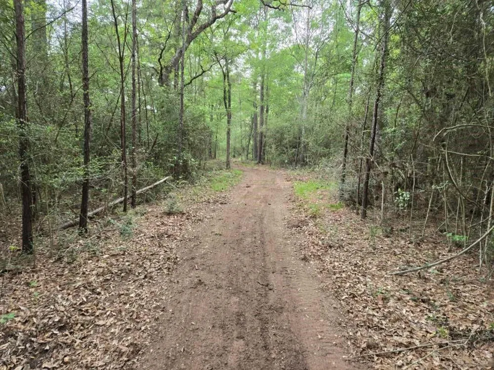 12 Mills Lane Richards, TX 77873