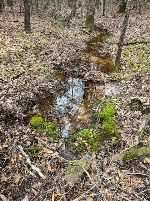 Off Of County Road 2580