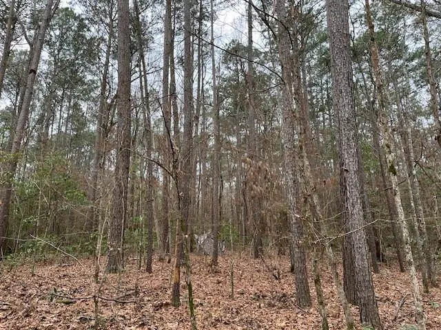 Off Of County Road 2580 Colmesneil, TX 75938