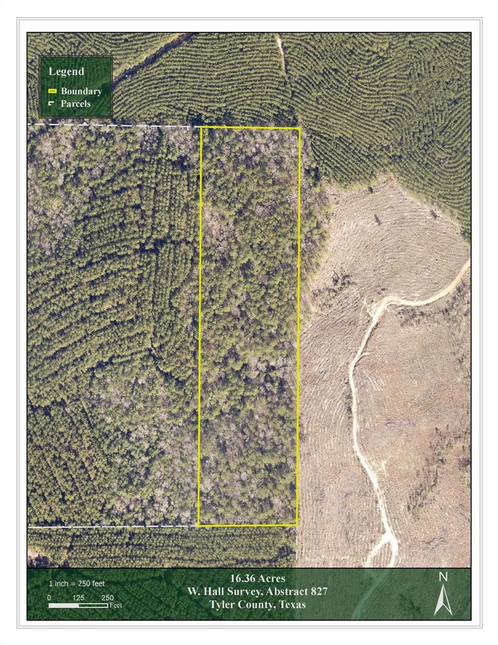 Off Of County Road 2580 Colmesneil, TX 75938