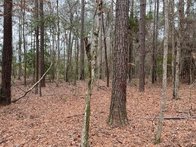 Off Of County Road 2580 Colmesneil, TX 75938