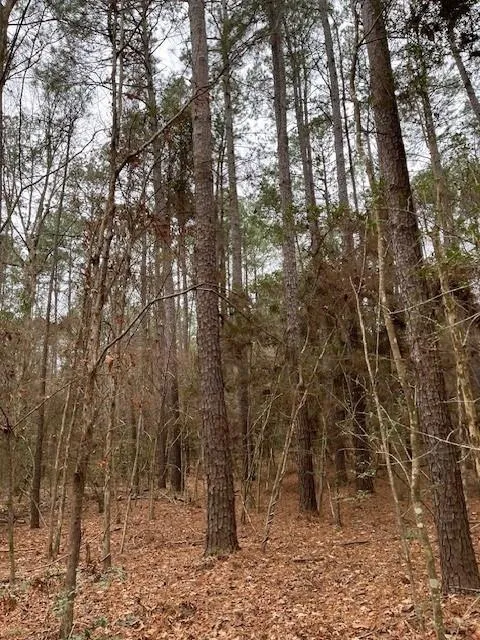 Off Of County Road 2580 Colmesneil, TX 75938