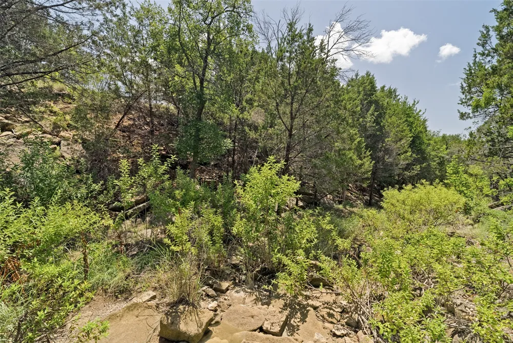 2125 Canyon Wren Loop Graford, TX 76449