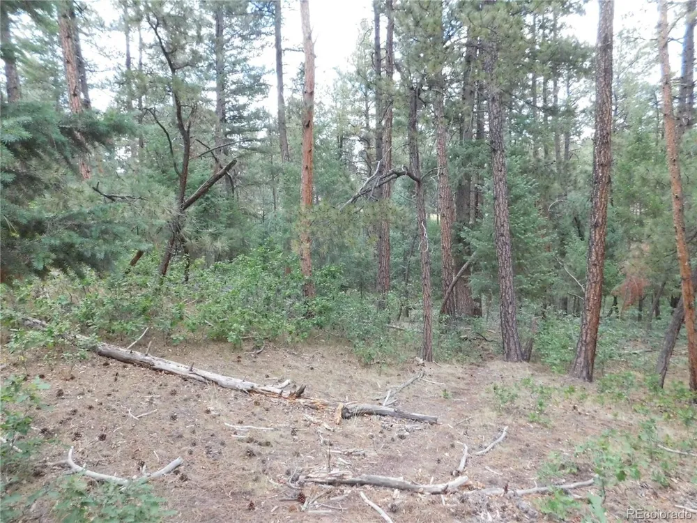 8169 Bannock Drive Larkspur, CO 80118