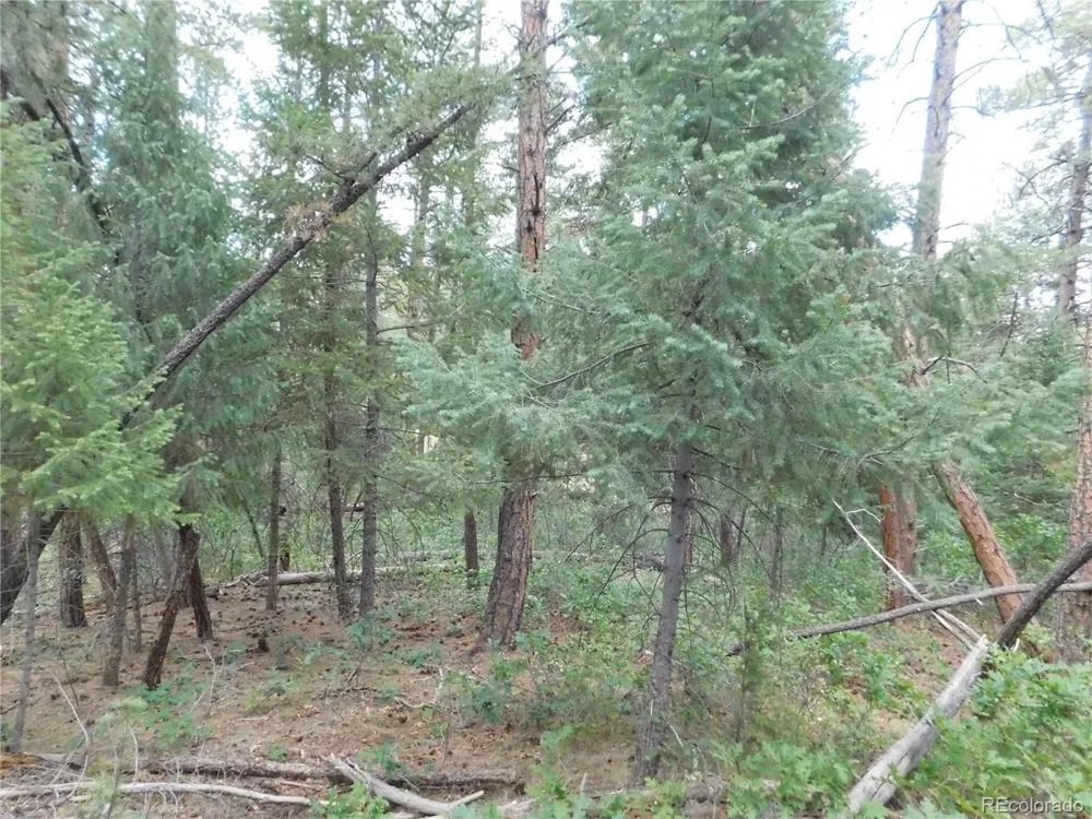 8169 Bannock Drive Larkspur, CO 80118