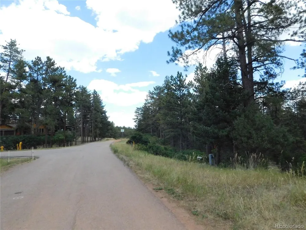 8169 Bannock Drive Larkspur, CO 80118