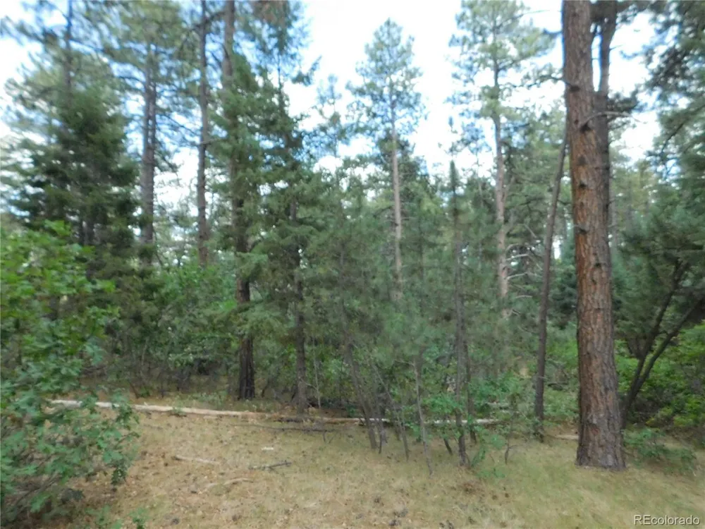 8169 Bannock Drive Larkspur, CO 80118