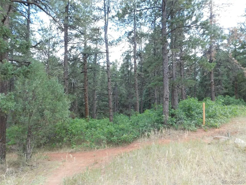 8169 Bannock Drive Larkspur, CO 80118
