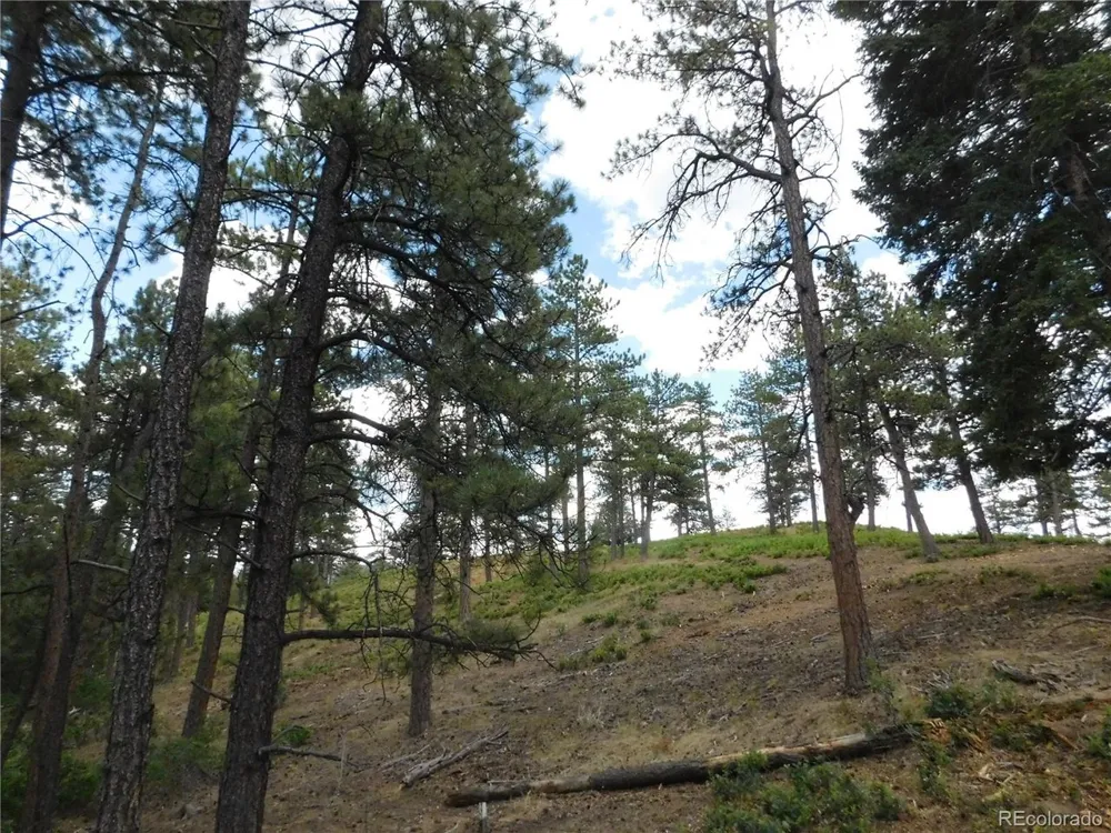 8169 Bannock Drive Larkspur, CO 80118