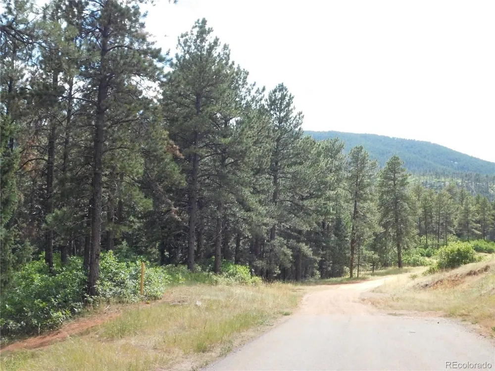 8169 Bannock Drive Larkspur, CO 80118