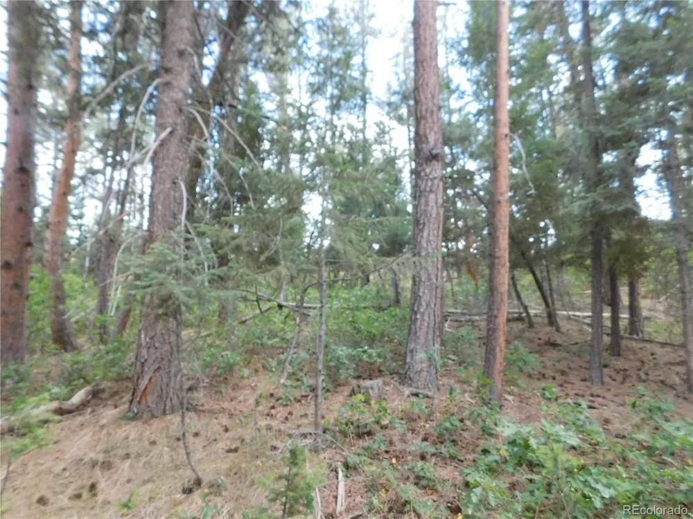 8169 Bannock Drive Larkspur, CO 80118