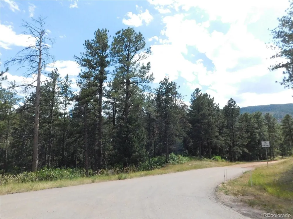 8169 Bannock Drive Larkspur, CO 80118