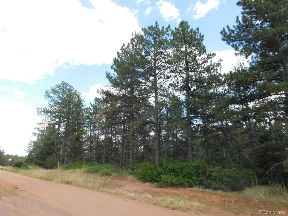 8169 Bannock Drive Larkspur, CO 80118