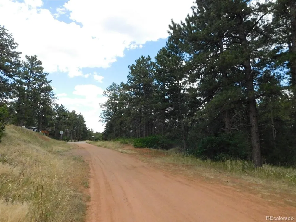 8169 Bannock Drive Larkspur, CO 80118