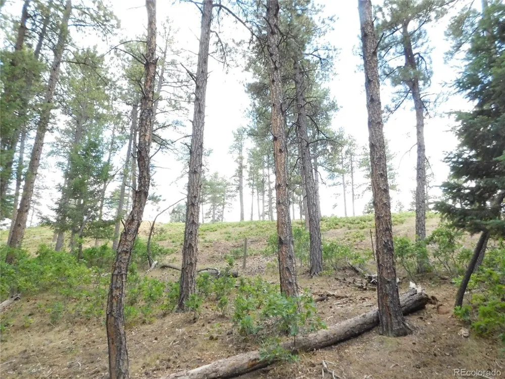 8169 Bannock Drive Larkspur, CO 80118