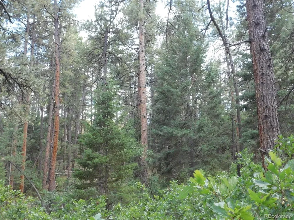 8169 Bannock Drive Larkspur, CO 80118