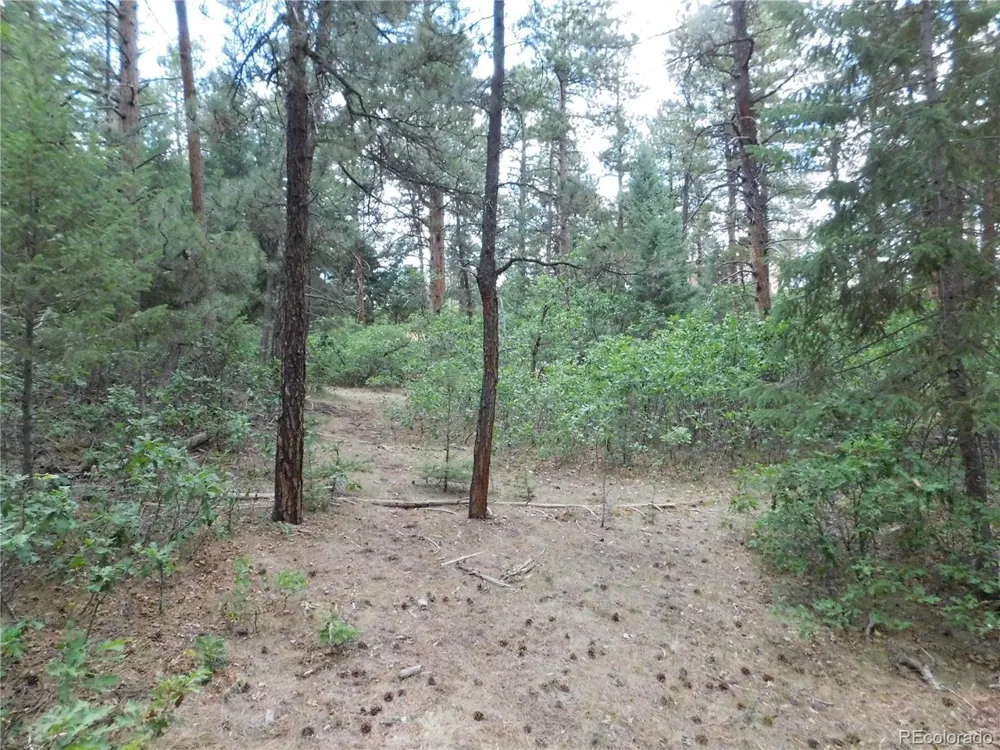 8169 Bannock Drive Larkspur, CO 80118