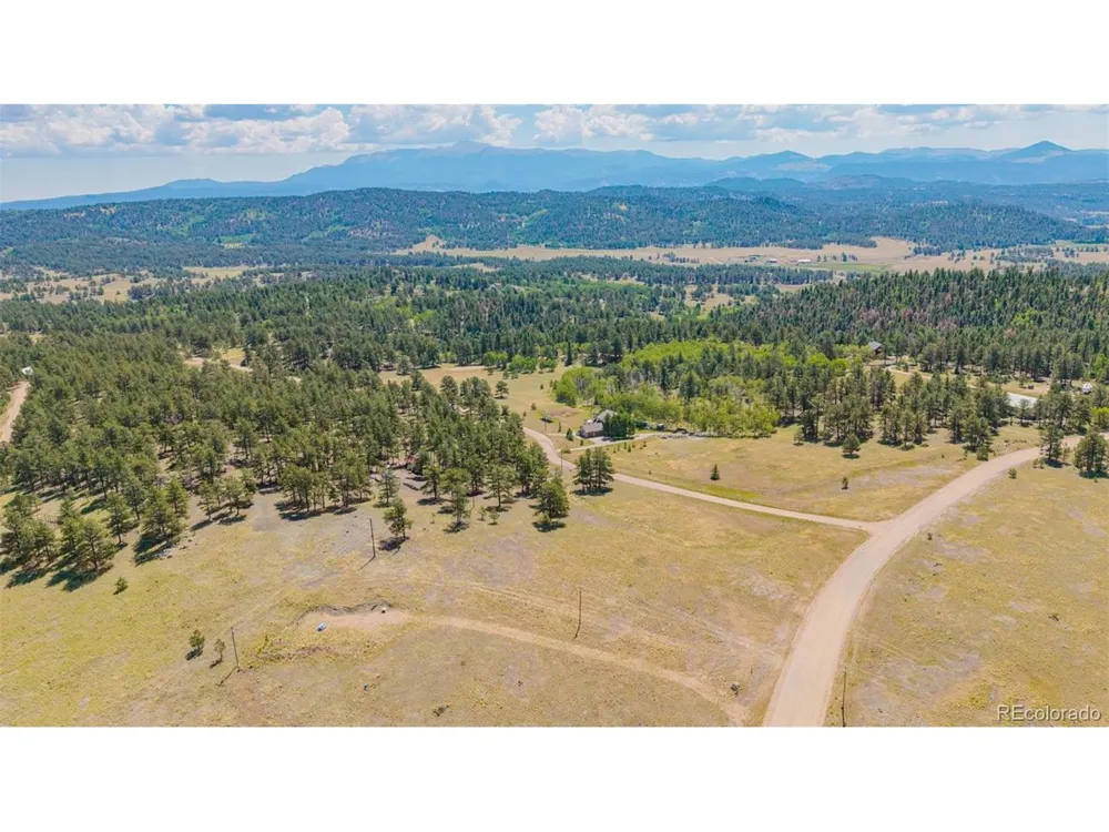 14 County Rd 403 Florissant, CO 80816