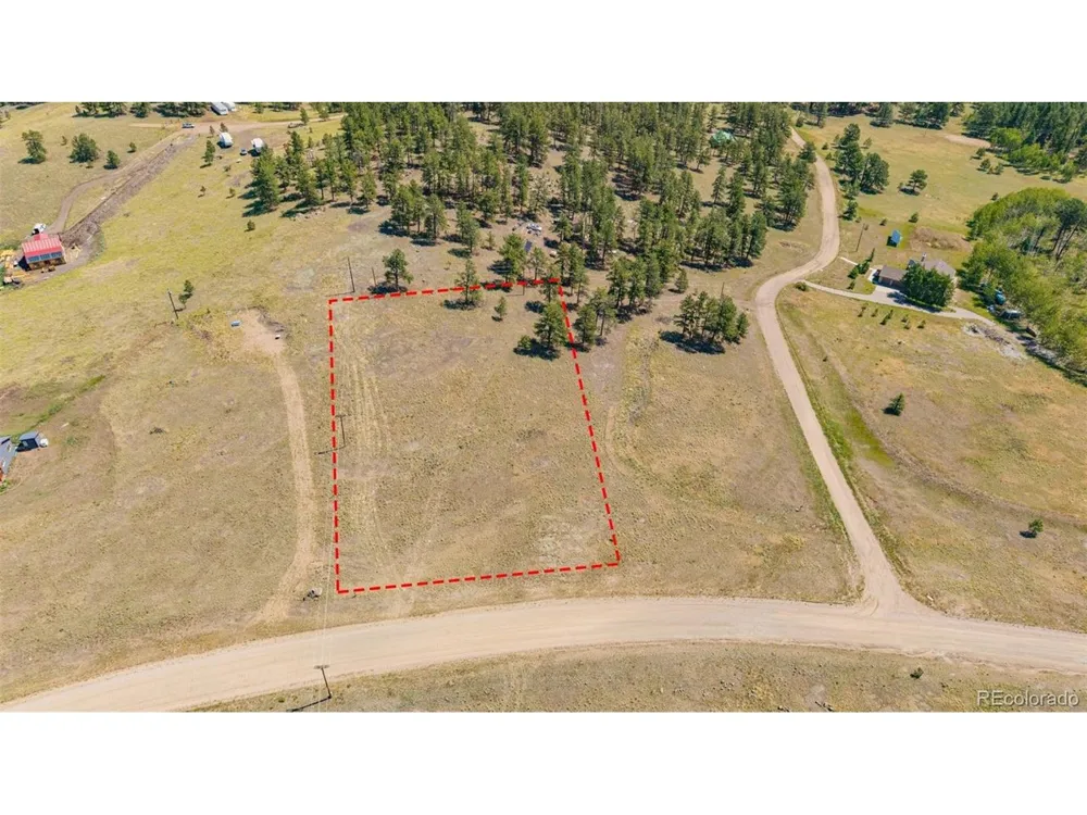 14 County Rd 403 Florissant, CO 80816