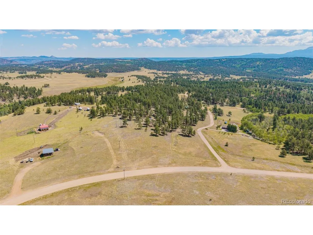 14 County Rd 403 Florissant, CO 80816