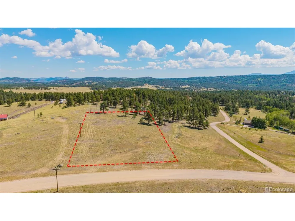 14 County Rd 403 Florissant, CO 80816