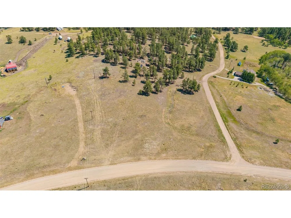 14 County Rd 403 Florissant, CO 80816