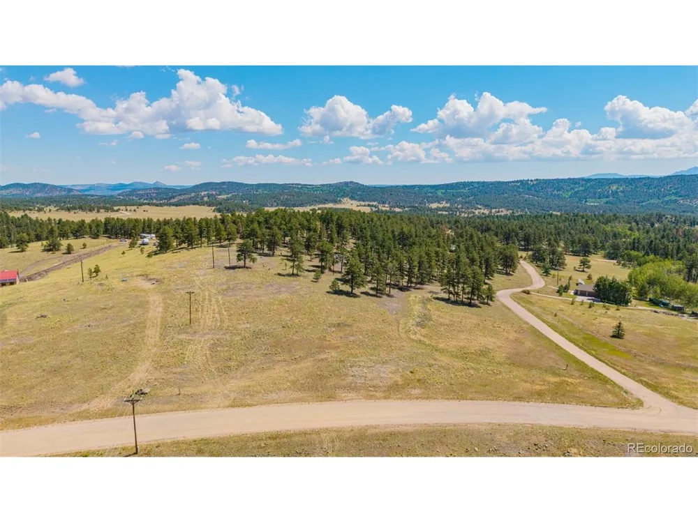14 County Rd 403 Florissant, CO 80816